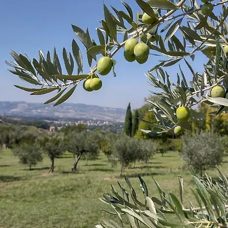 La Maggiolina Montelabbate